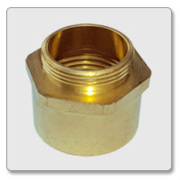 Brass Hex Bush