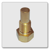 Electrical Themo Plug